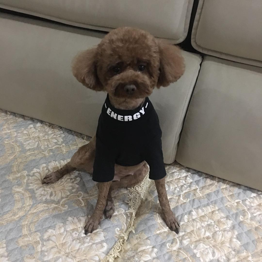 阿燕
