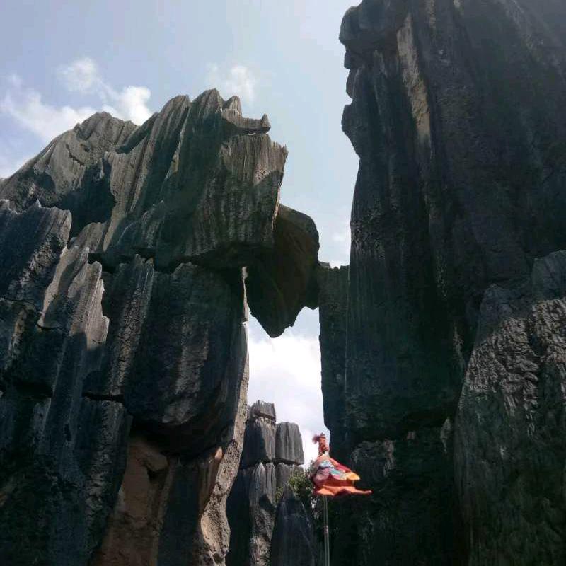 ✿开心蓝礼人ʕ•̫͡•ʔ