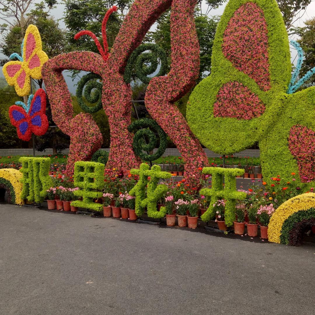 豫东:魏士军(89.3🇨🇳)