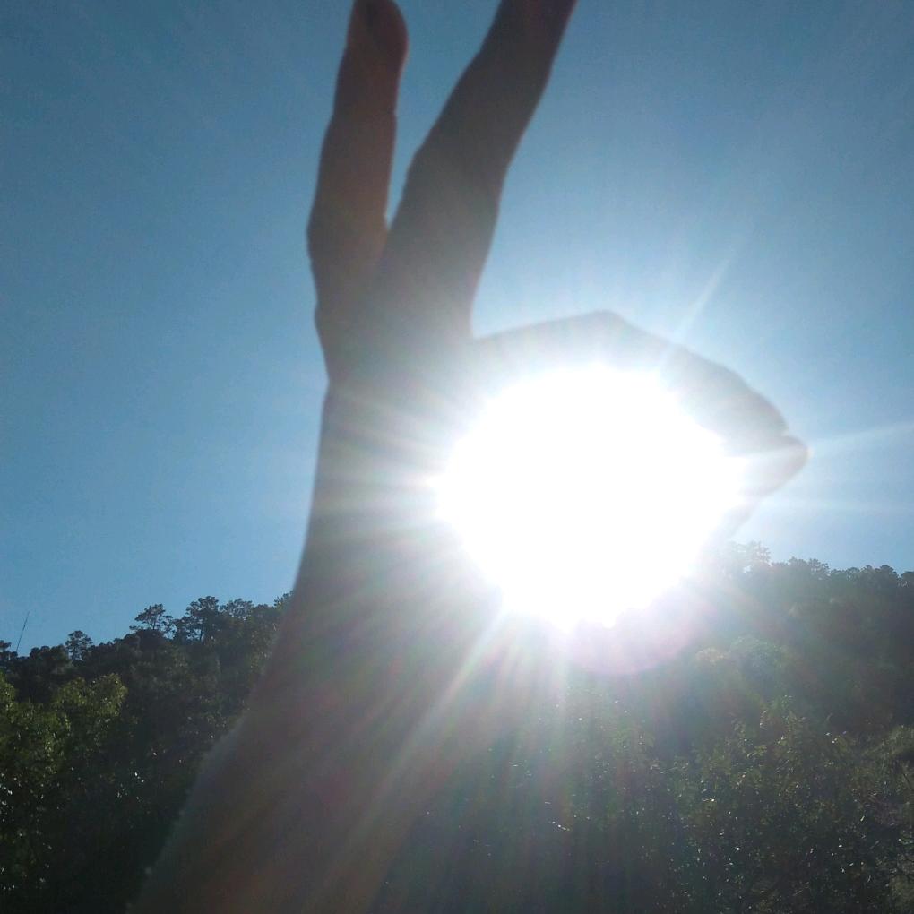 夏沫