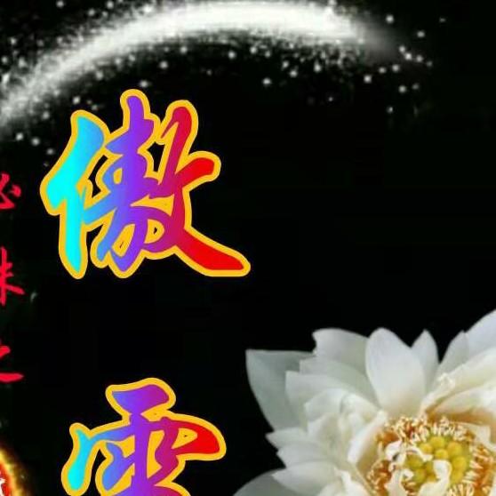 傲雪冰城