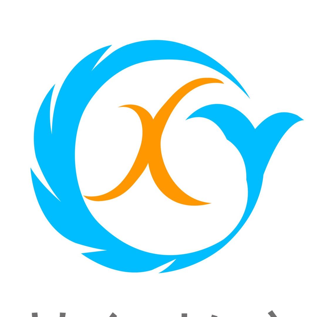 深圳市艺轩文化艺术培训有限公司