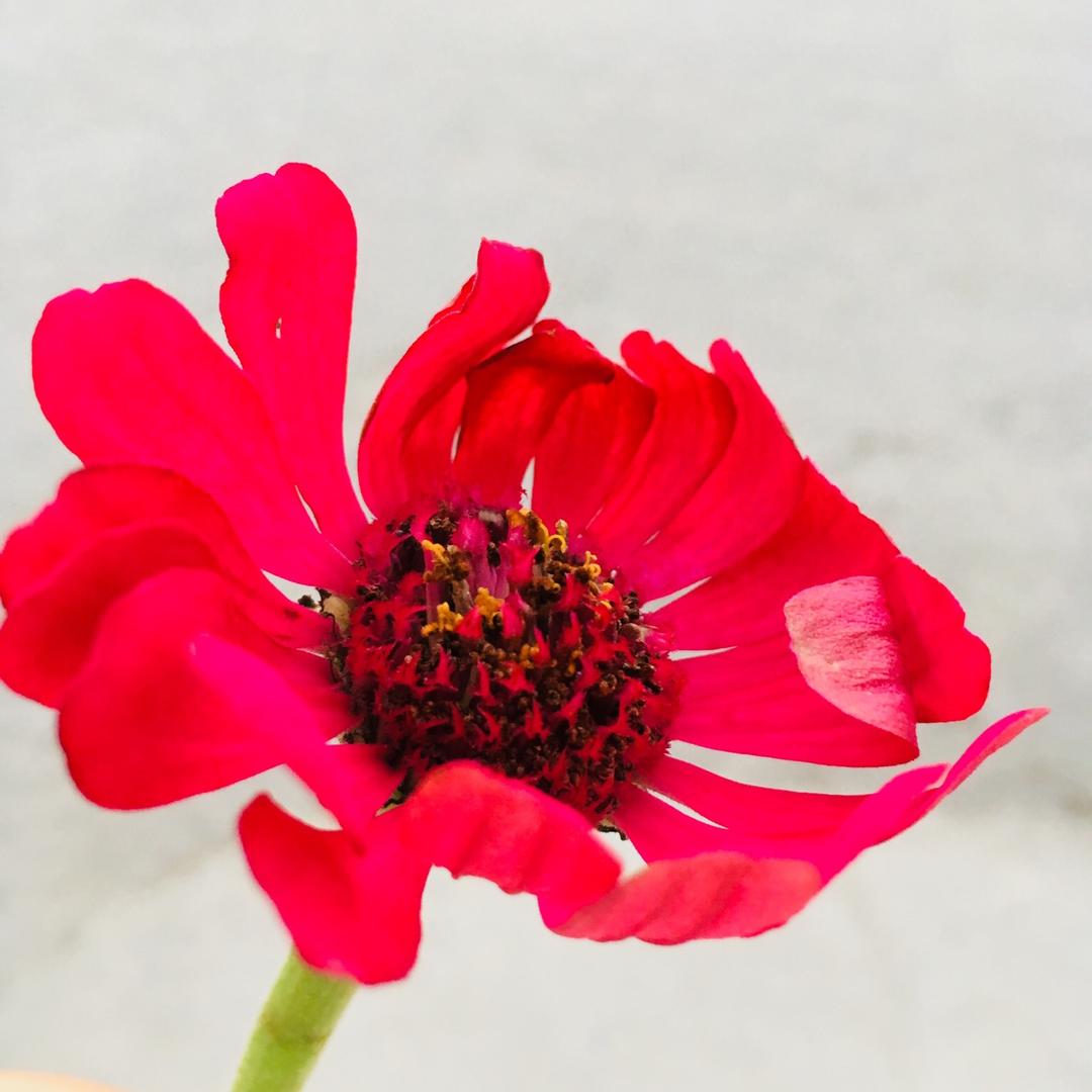 曾经是以后是
