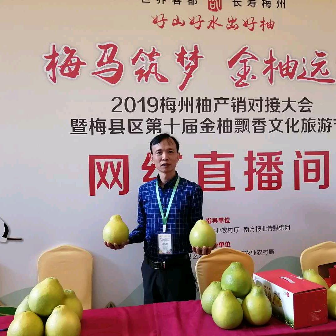 梅州客乡人沙田柚