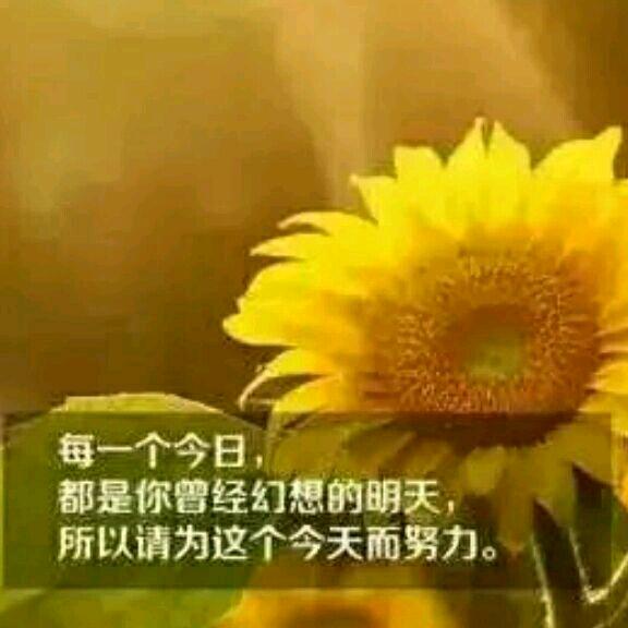安微！快乐女王👸打工仔！本人❤心态好！
