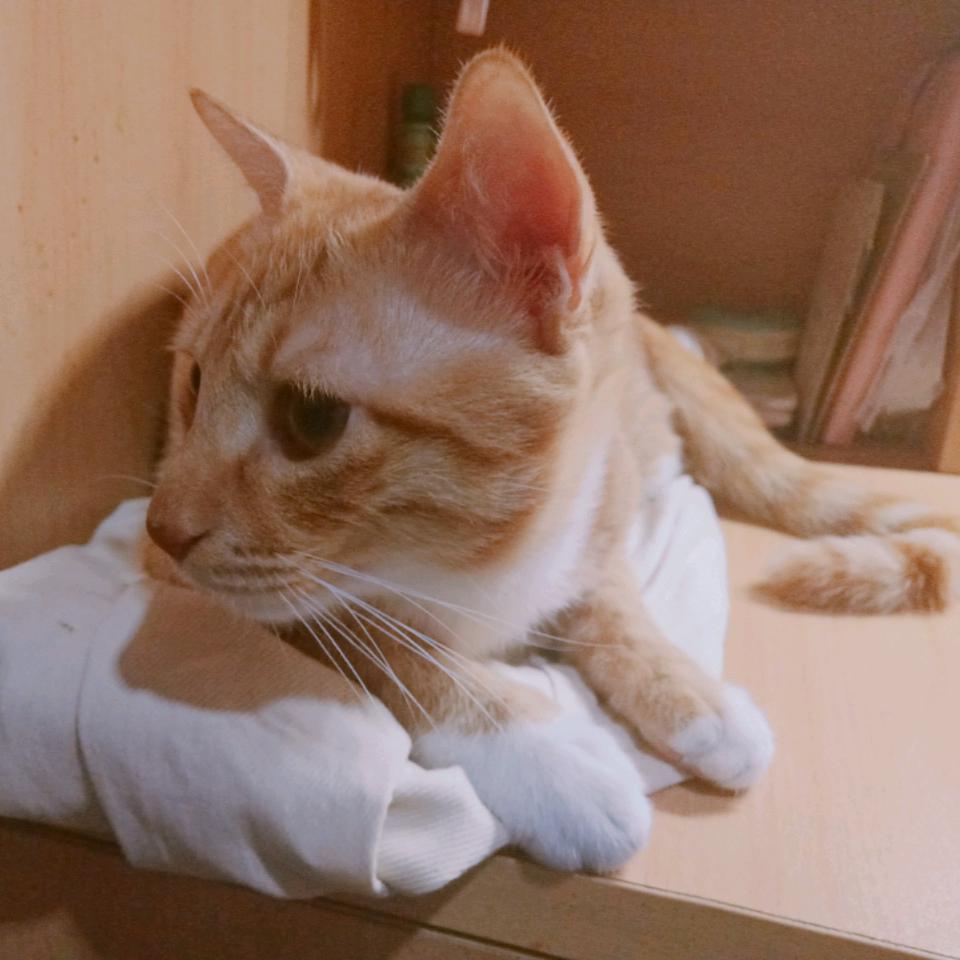 *离开星球*