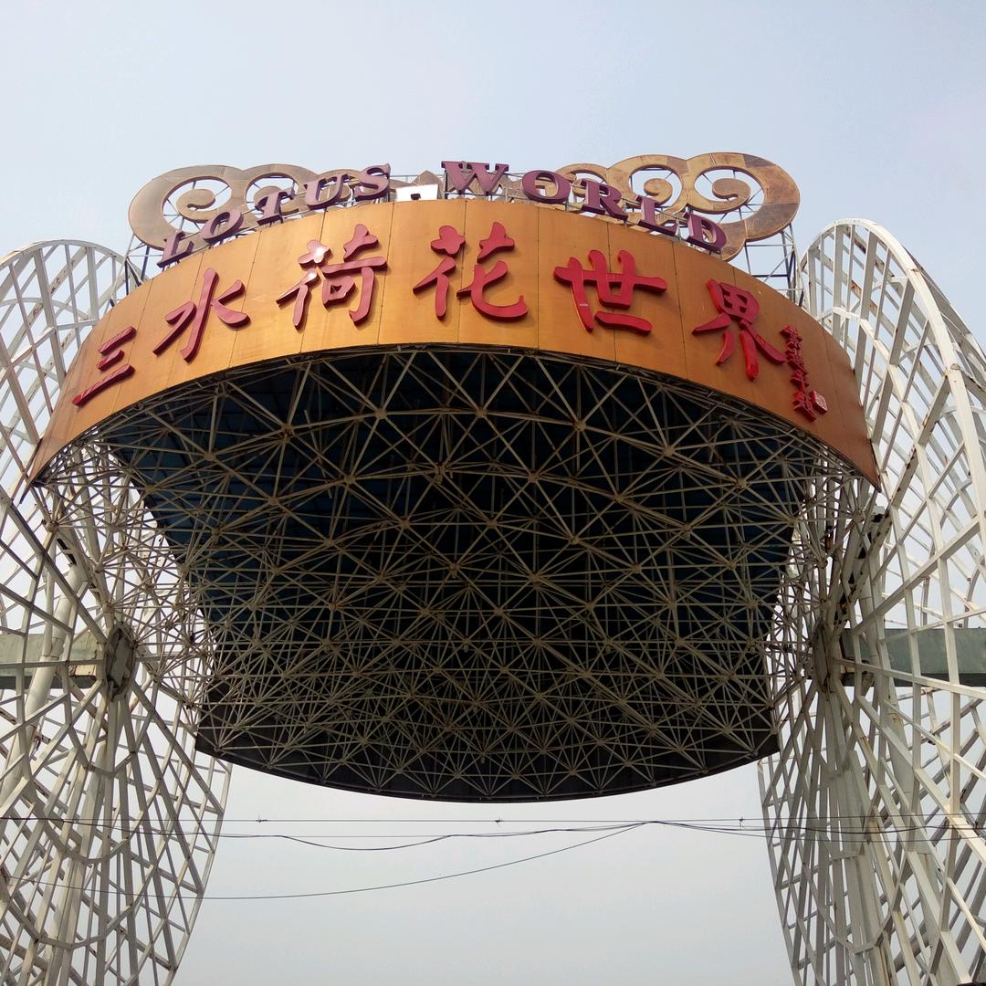 开心大姐