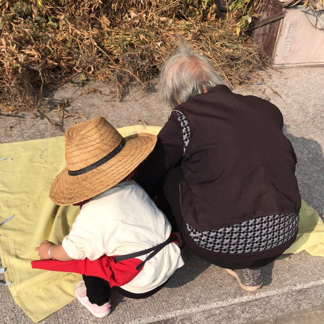 农忙小跟班Lifestyle