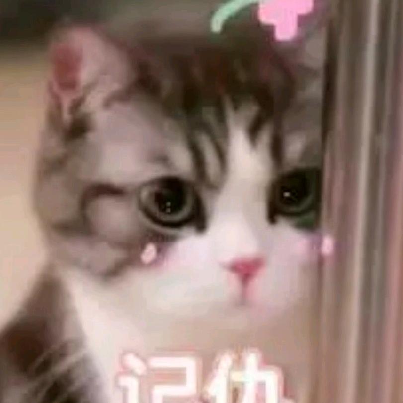 坚持减肥的小胖