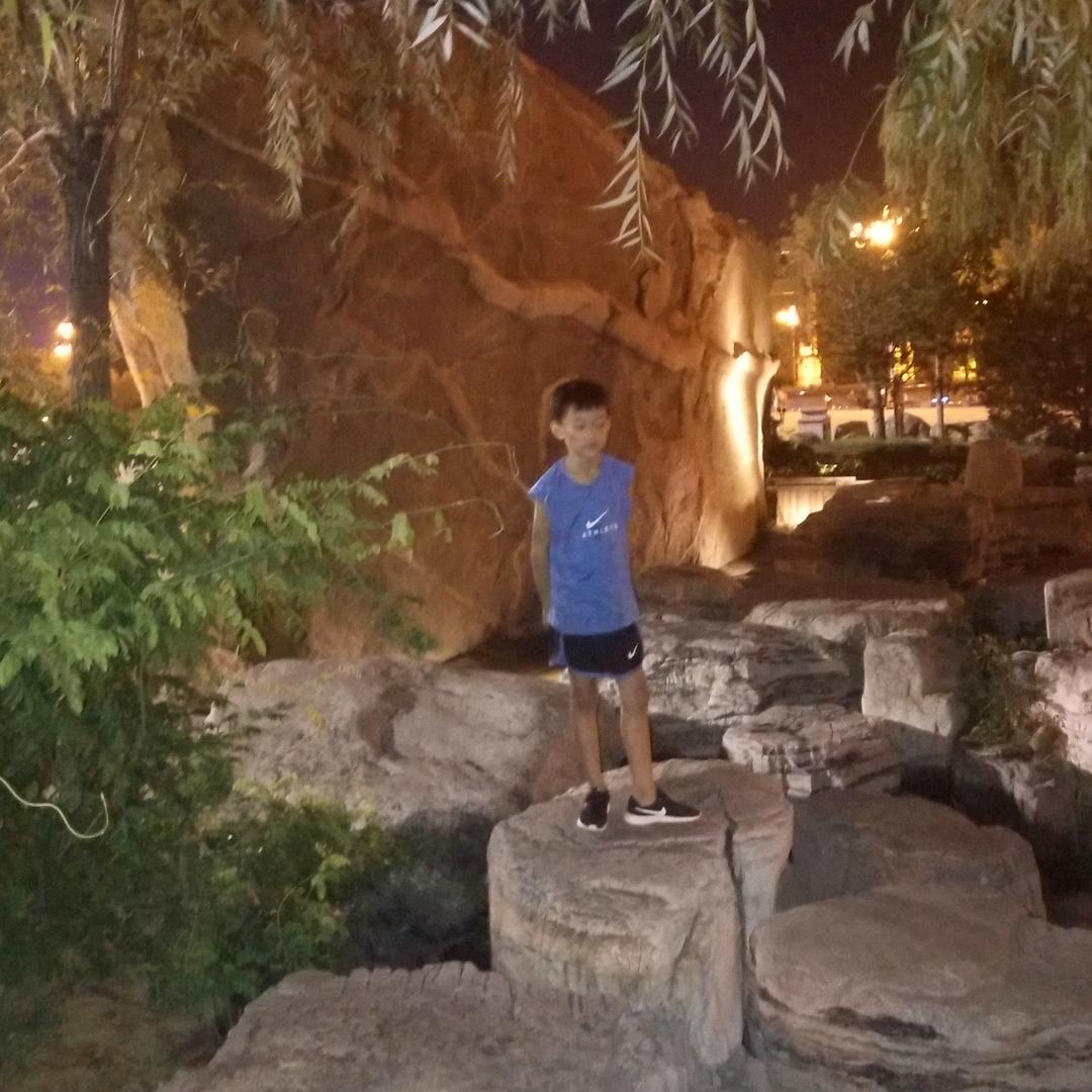 龙转乾坤