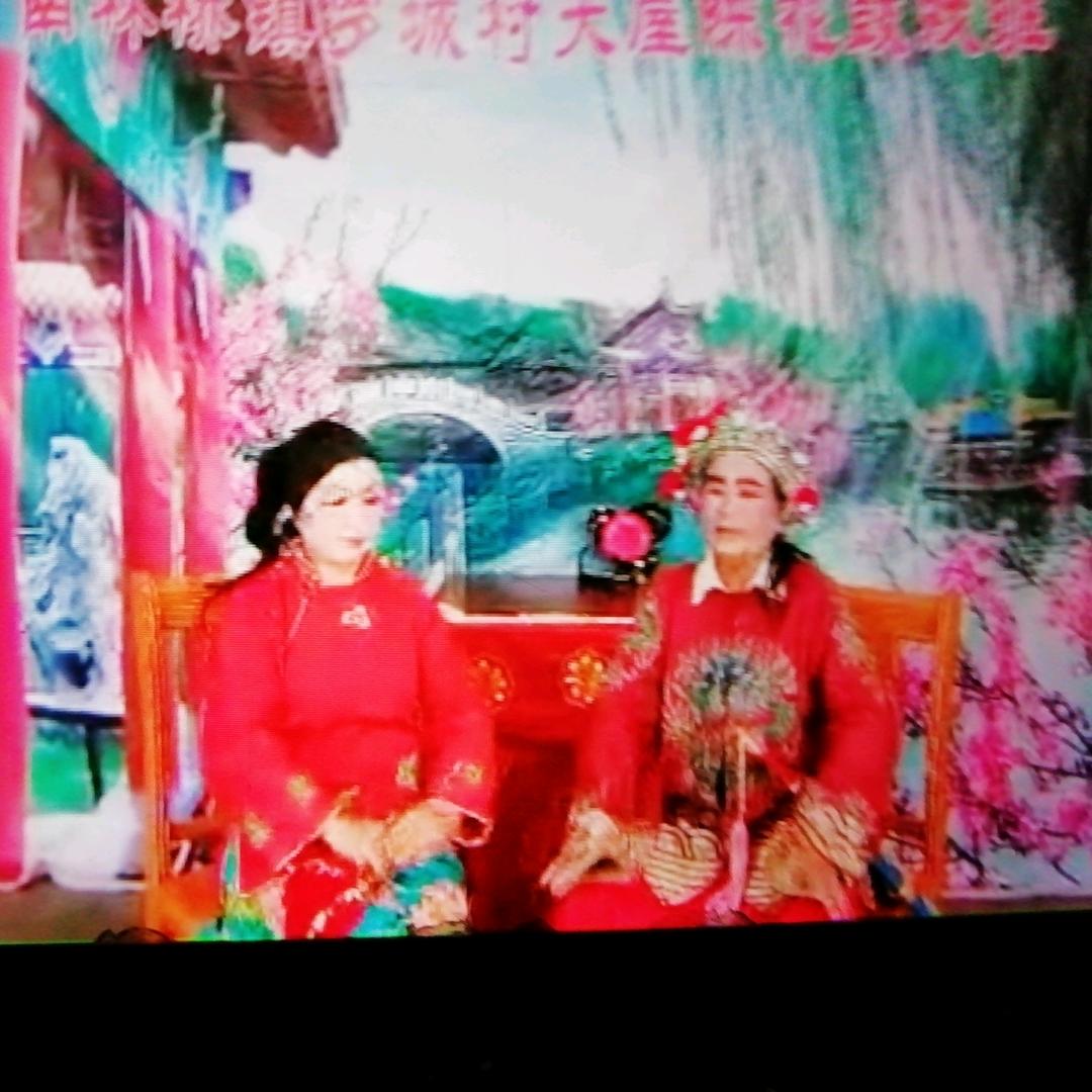 九五甄选（王七元）