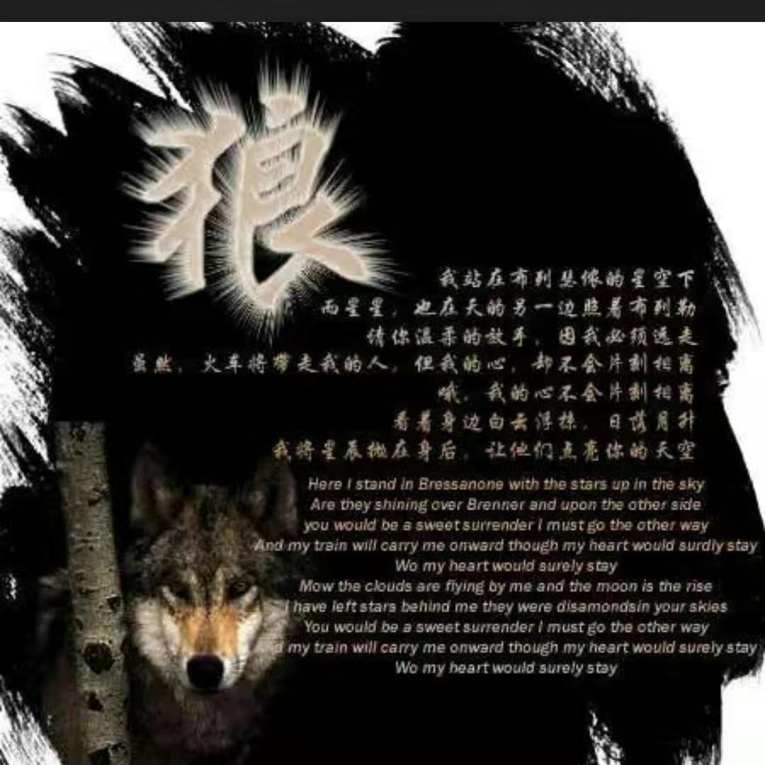哥就这么拽