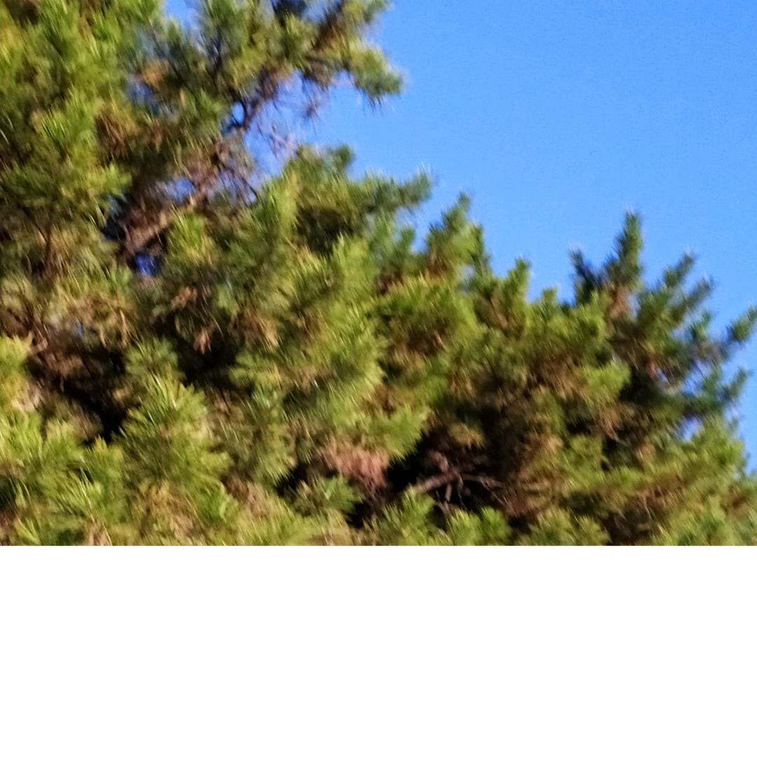 WAWj如意（拒连赞）