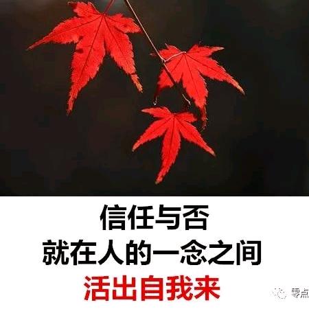 席😇红叶
