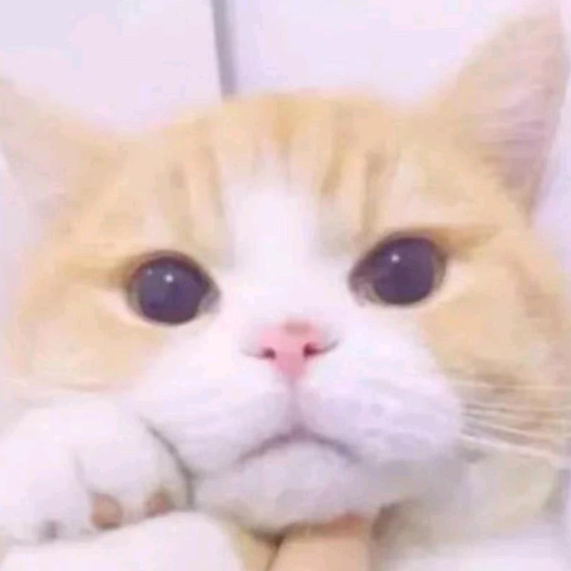 八号当铺