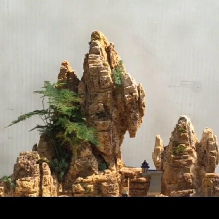 叶落随风