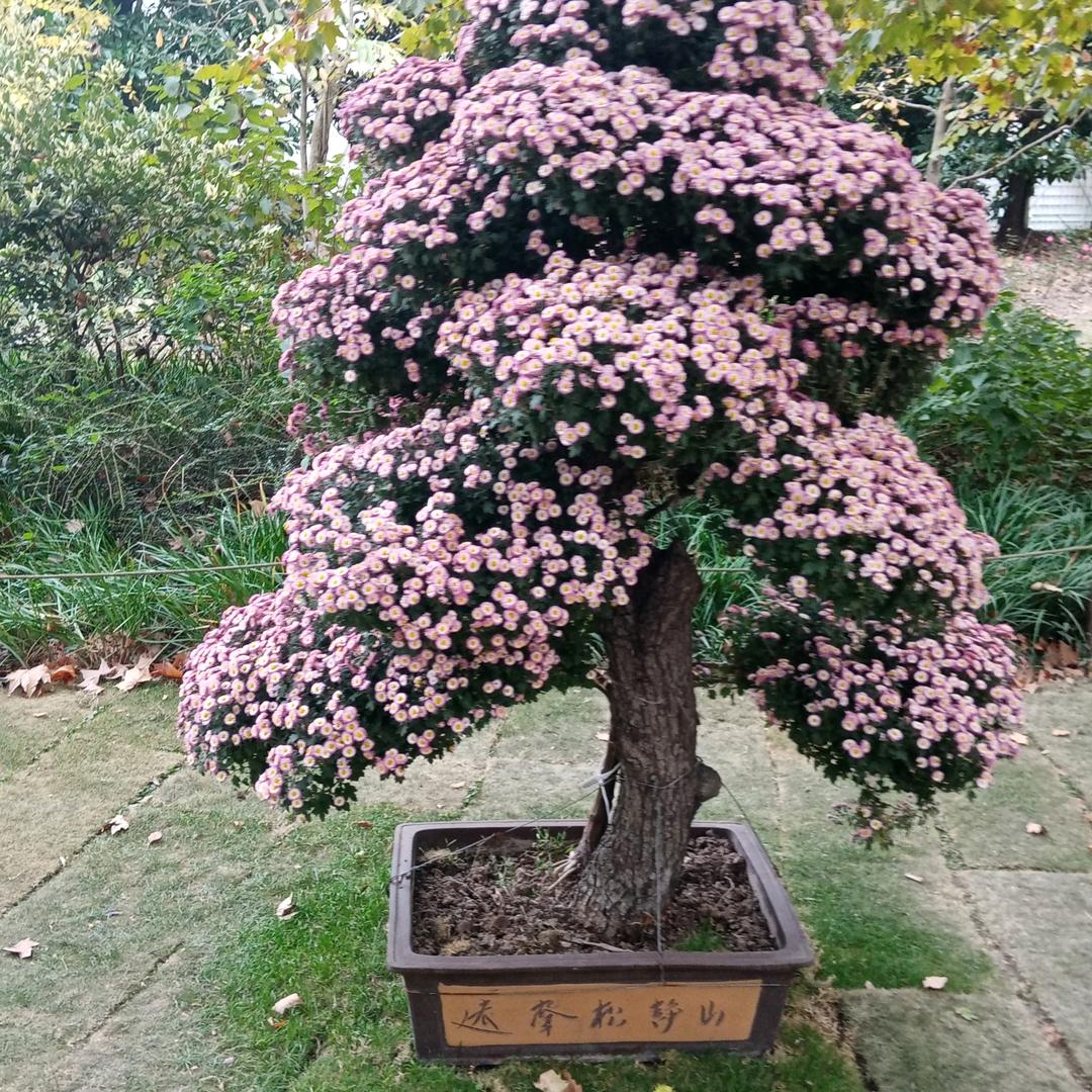 上天下地中和人走近地球