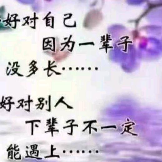 高贵如风