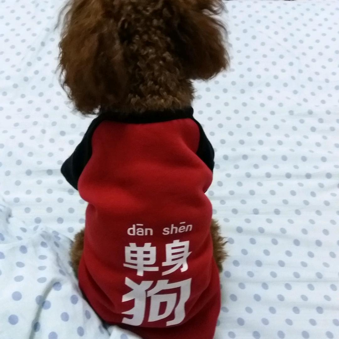 月亮优选