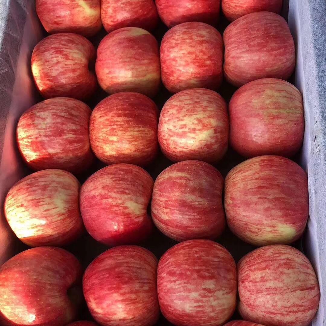 福州连江水果代销