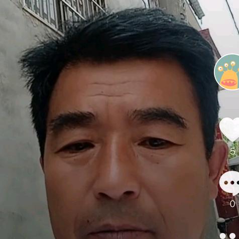 河南省新乡市封丘县种植金银花