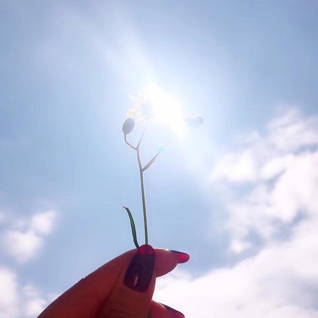 快乐滴向日葵🌻宝宝