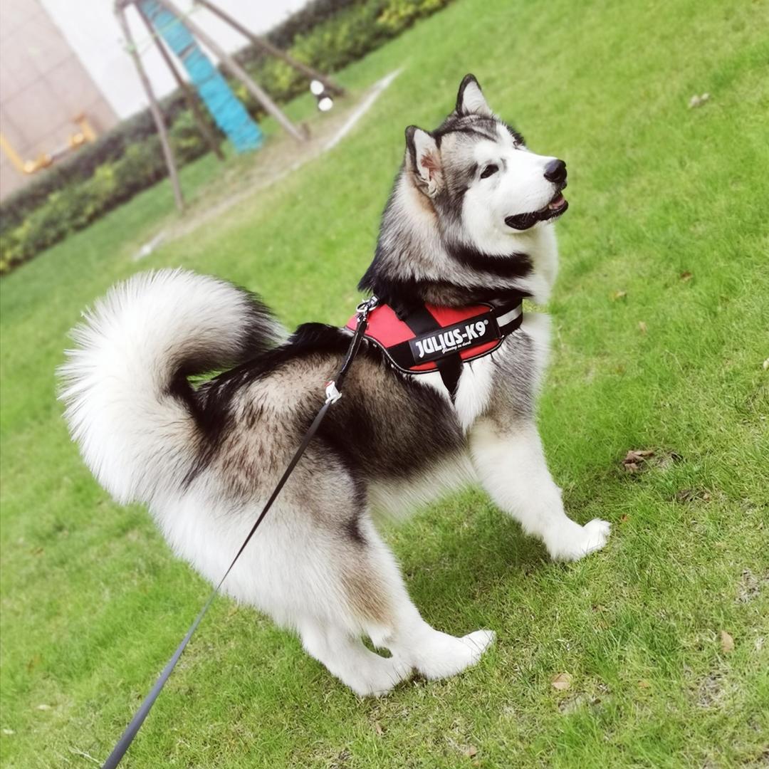 小五的幸福生活