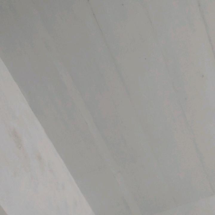 大大方方