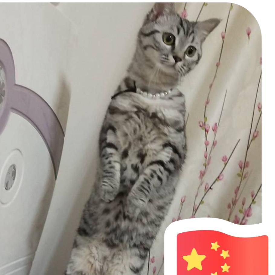 涛哥爱钓鱼（韧钓者）