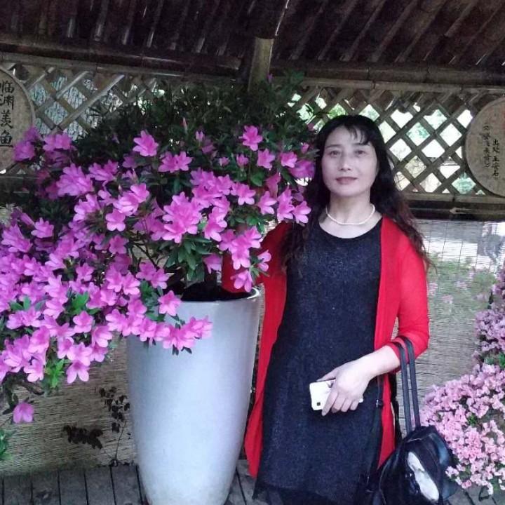 半夏半暖