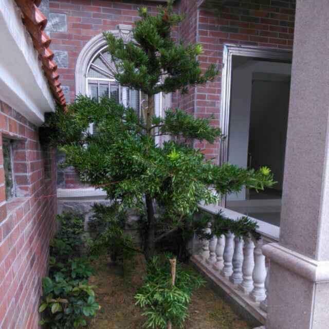 白土群兴窗帘店