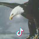 ωеí 有暗香来-