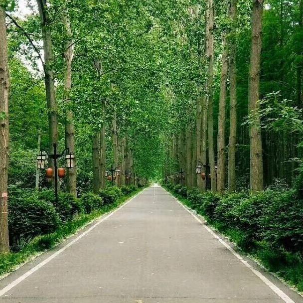强悍