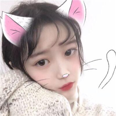 半阕词曲°