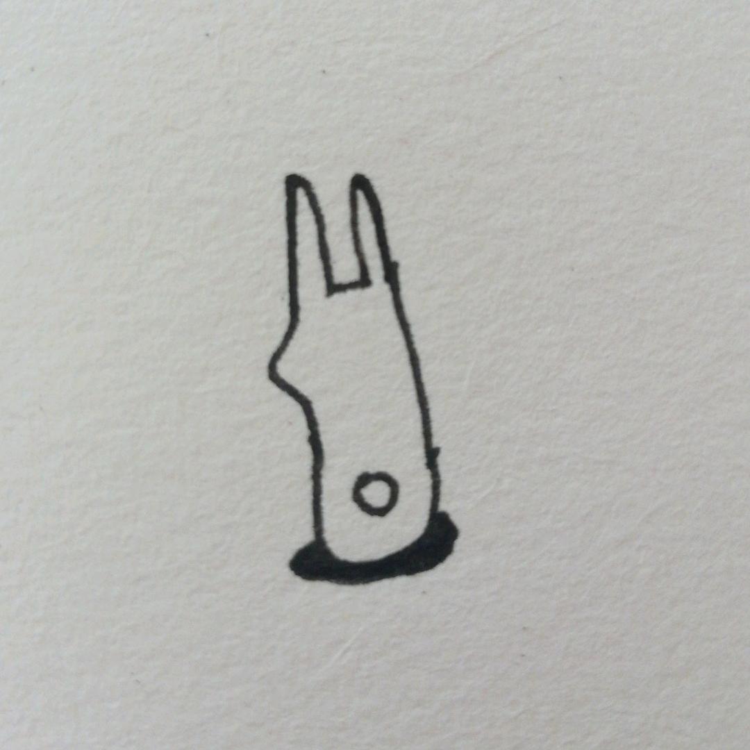 会飞的兔子