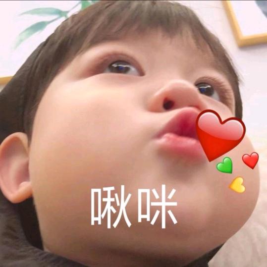 千里共婵娟