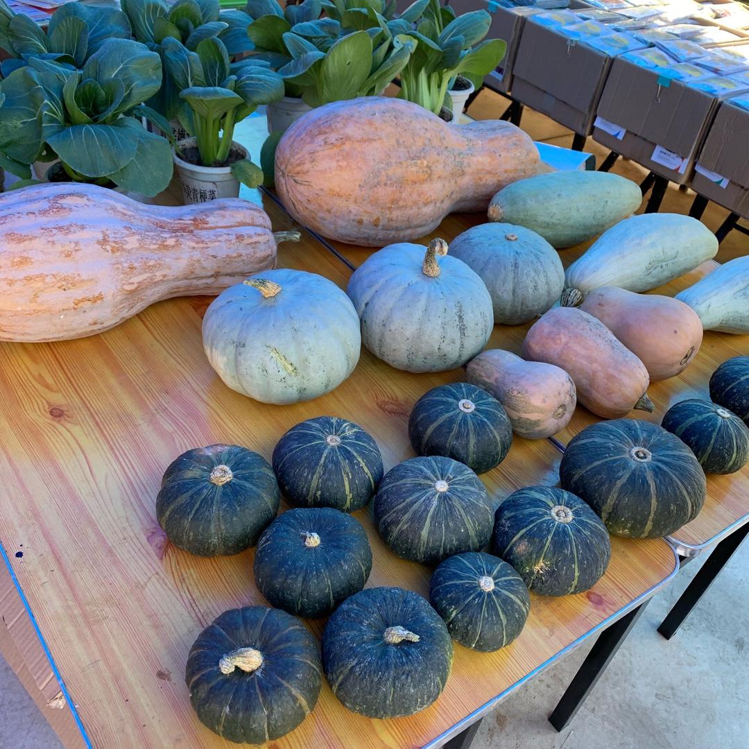 萱源种业种苗基地