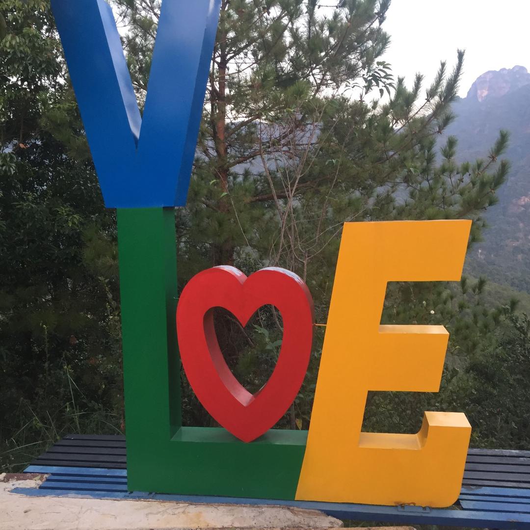 柚是你