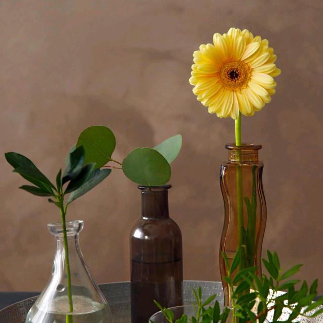 淡然🌱美好🌻