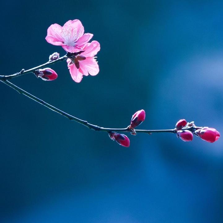 用户1154521226212洪。限评了