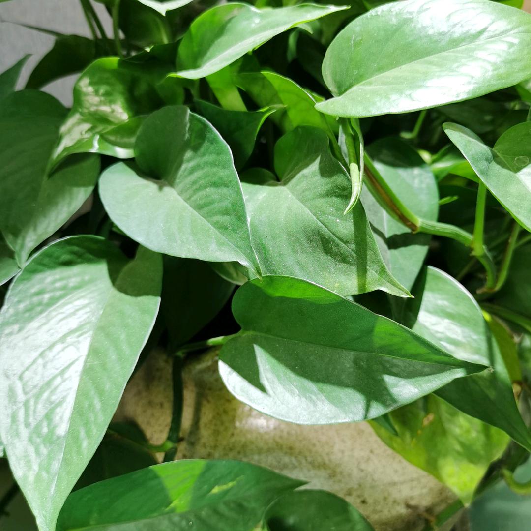 新之途商贸有限公司