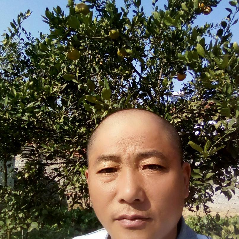 胡群才