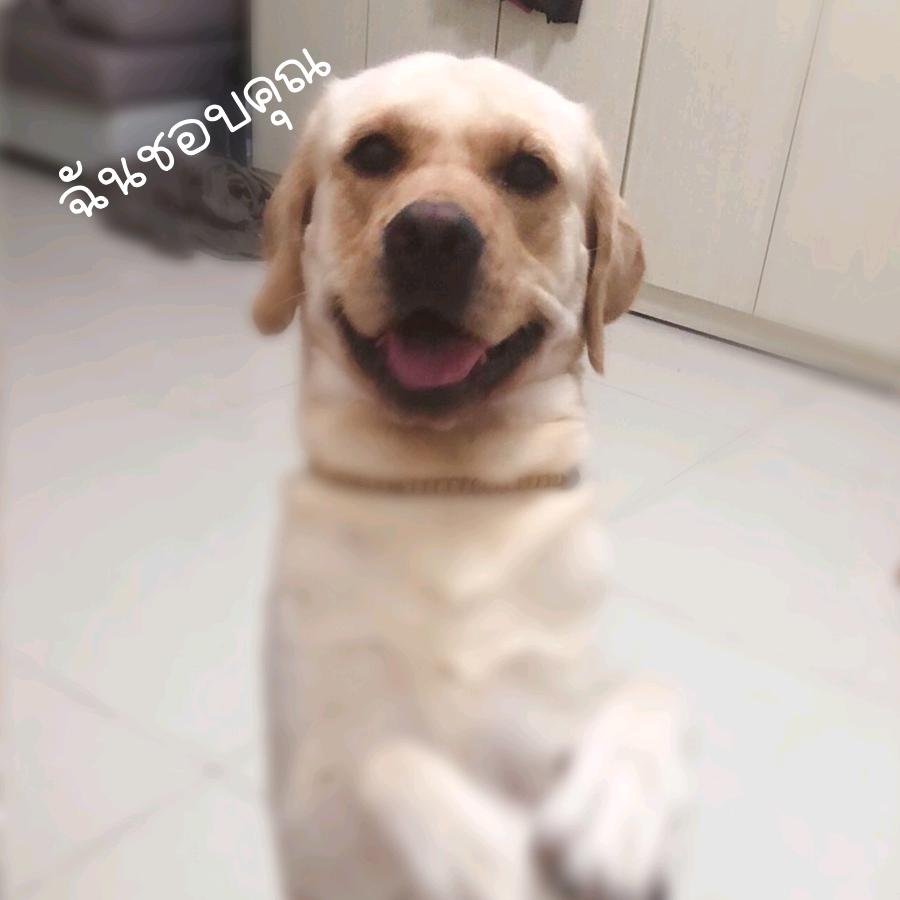 是夕月啊❤️💕💖