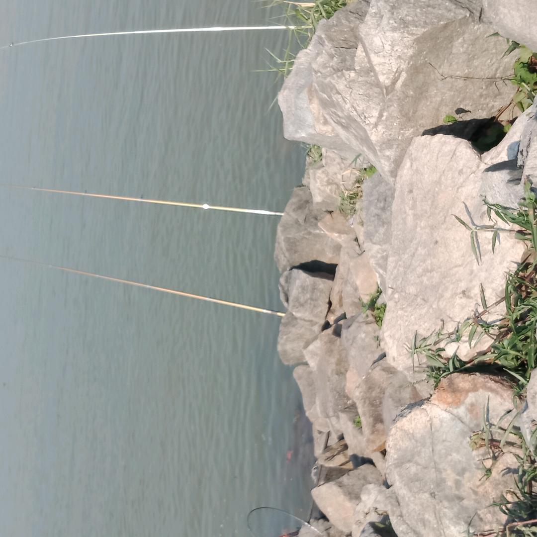 华