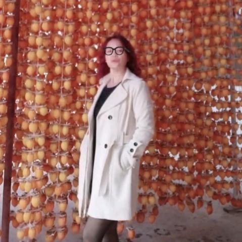 富平柿饼姐《拒连赞》