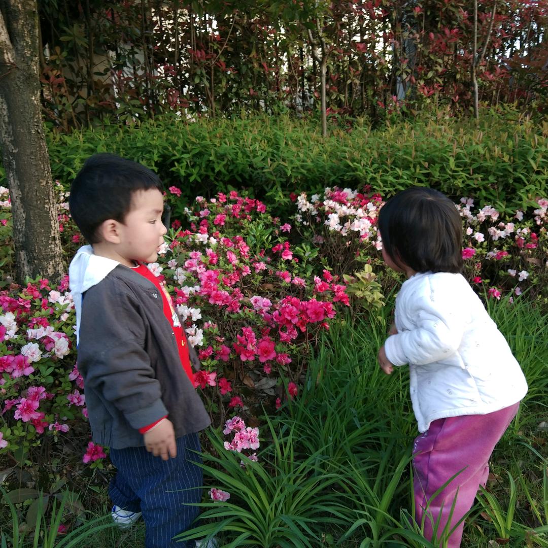 格格
