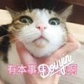 ご墨尽め微凉ご
