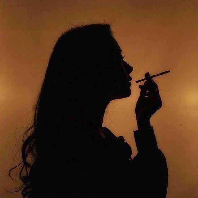 南方有尘北贝贝