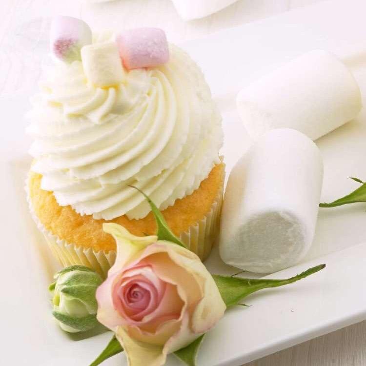 🍬糖果🍬