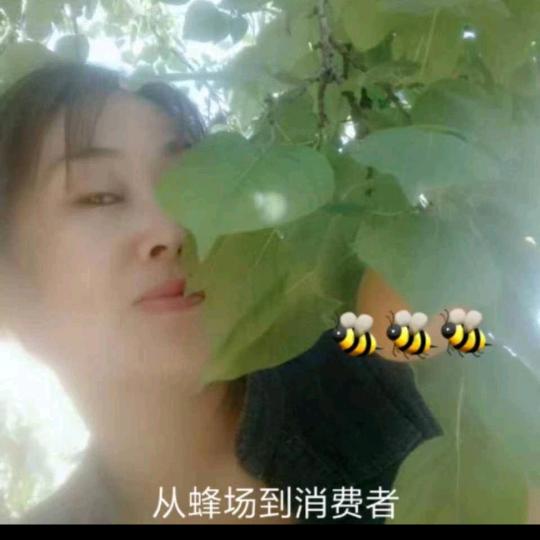 蜜蜂追花香